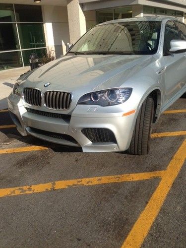 Bmw x6  m series silver sport utility