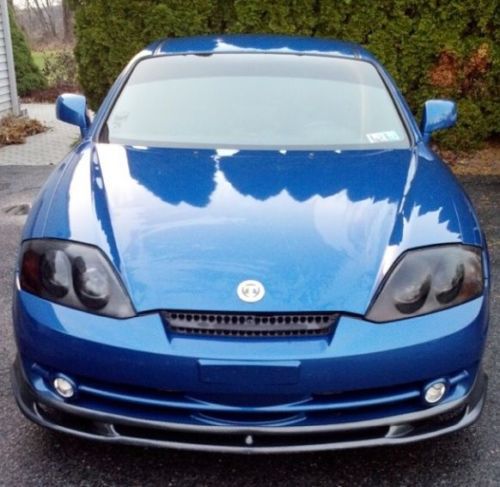 Turbo tiburon