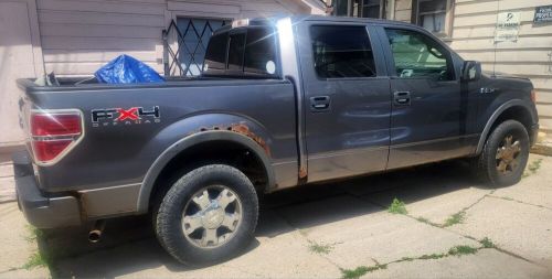 2010 ford f-250 grey