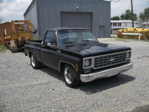 1976 chevrolet pickup