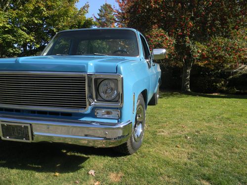 1977 chevrolet c10