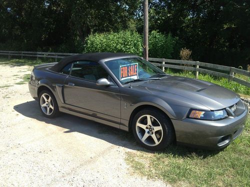 2003 ford mustang svt cobra convertilbe