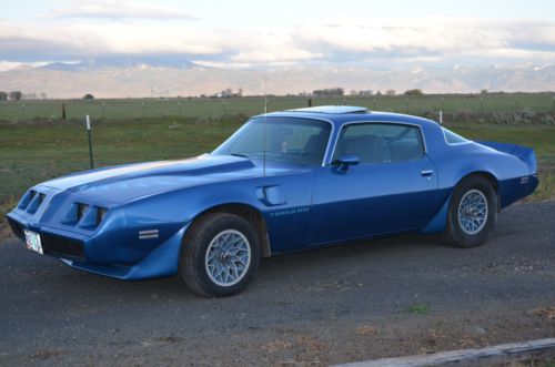 1981 pontiac firebird trans am coupe 2-door 4.9l