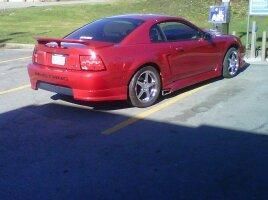 Roush mustang