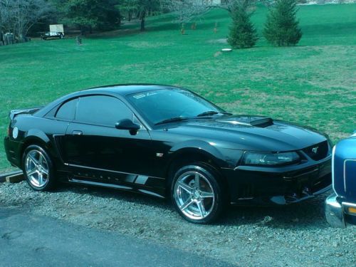 2001 saleen mustang