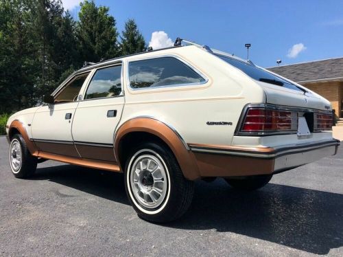 1984 amc eagle eagle