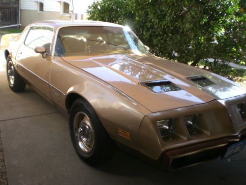 1979 pontiac firebird formula 406