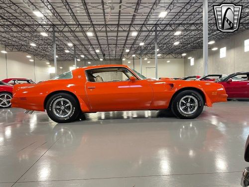 1976 pontiac firebird trans am