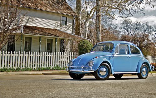 1966 vw beetle