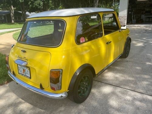 1973 mini classic mini