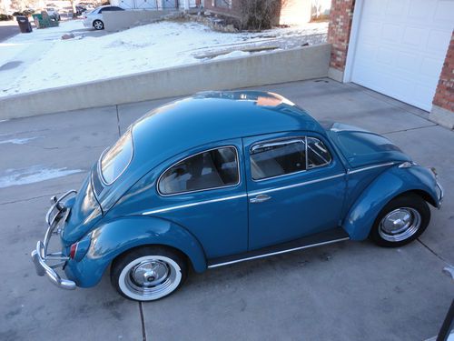 1964 vw bug - lovely