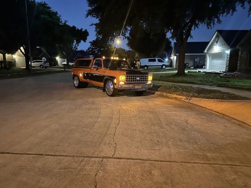 1979 chevrolet c20/k20 silverado