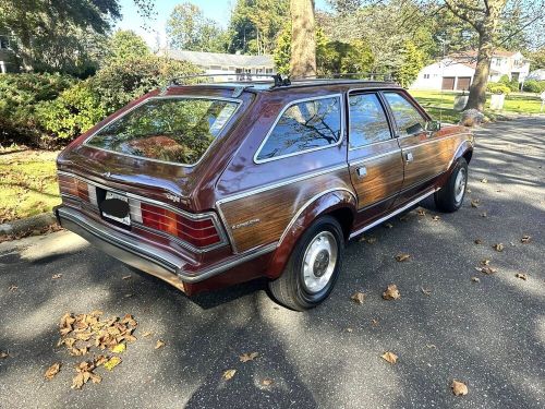 1984 amc other