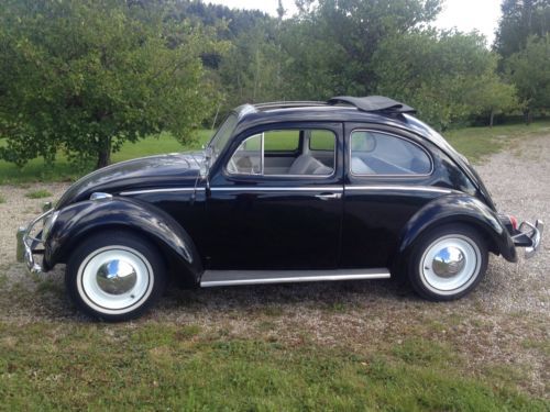 Beetle ragtop