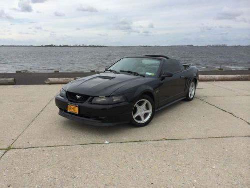 Triple black 2000 mustang gt premium convertible 6- speed