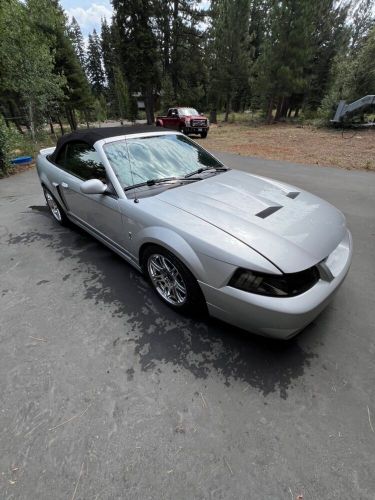 2003 ford mustang cobra svt