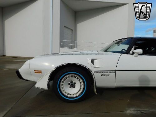 1981 pontiac firebird trans am