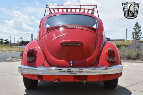 1968 volkswagen beetle - classic