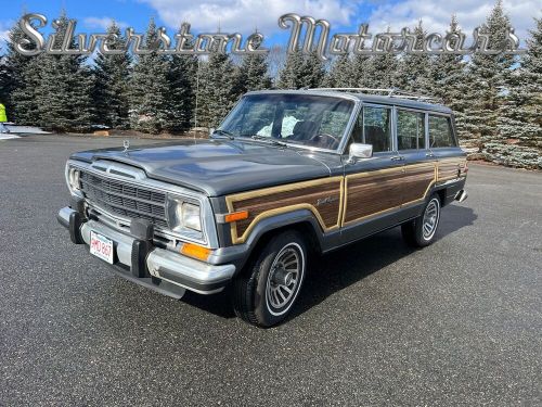 1989 jeep grand wagoneer