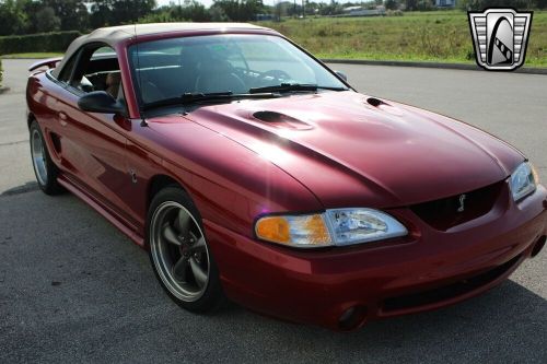 1998 ford mustang svt