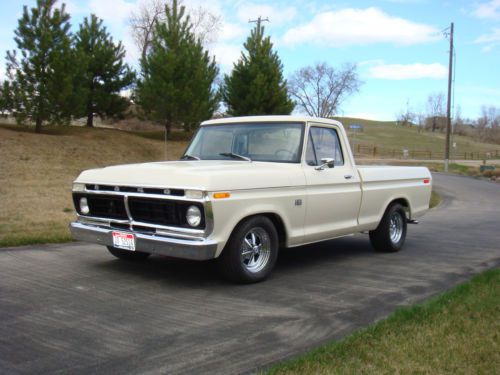 1976 ford f-100 custom standard cab pickup 2-door 5.9l