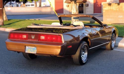 California original, 1982 pontiac firebird convertible, nice car!  no reserve