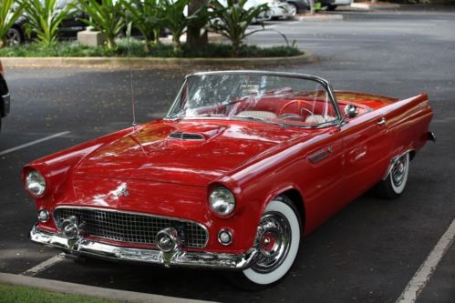 Beautiful ford thunderbird optimum battery minor details makes it better