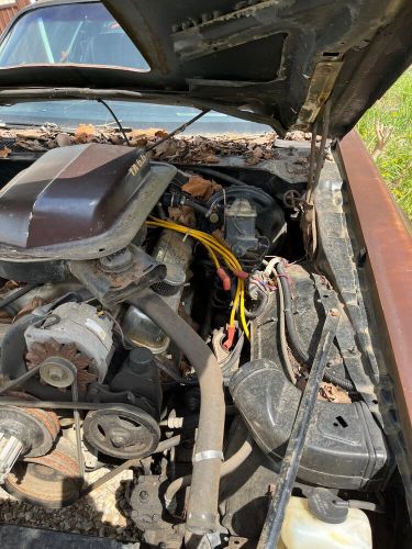 1979 pontiac firebird ta