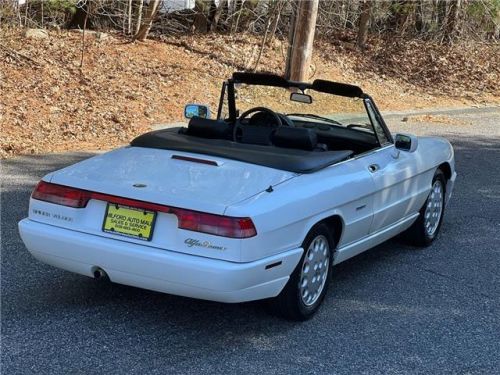 1993 alfa romeo spider veloce