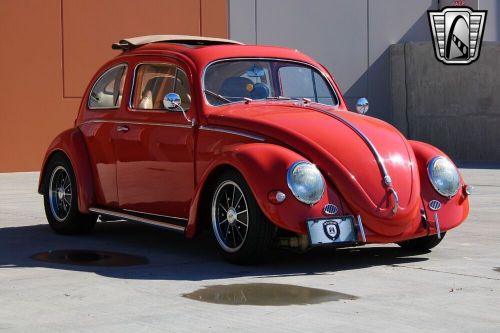 1966 volkswagen beetle - classic