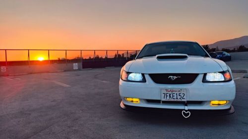 2002 ford mustang gt deluxe