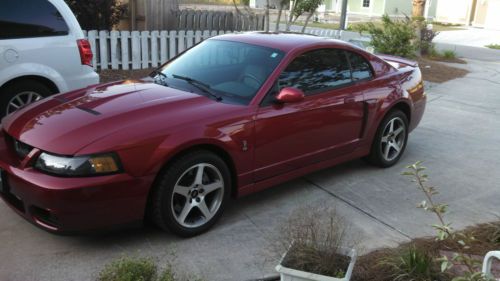 Super clean,low mileage 03 cobra