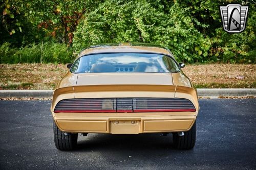 1979 pontiac firebird trans-am