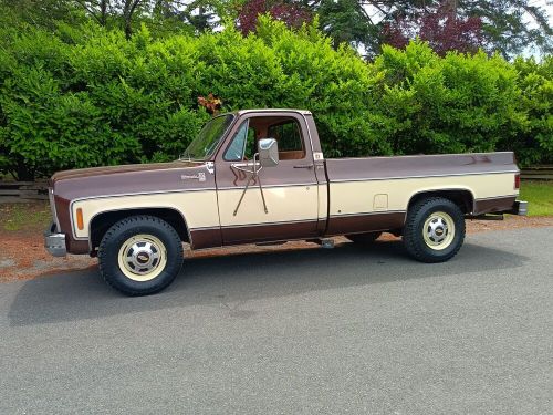 1979 chevrolet other pickups