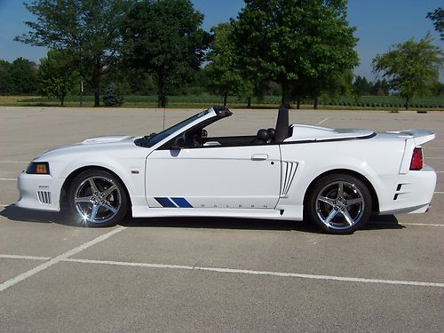 2002 saleen mustang