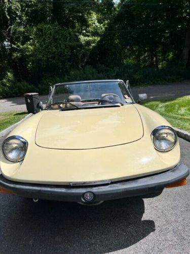 1982 alfa romeo spider