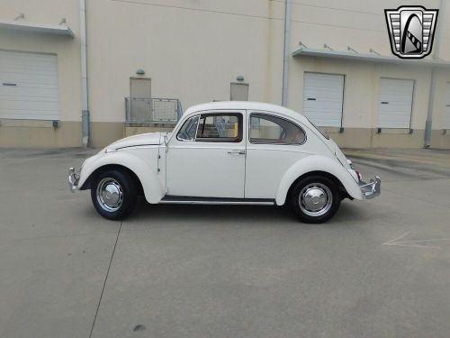 1966 volkswagen beetle - classic