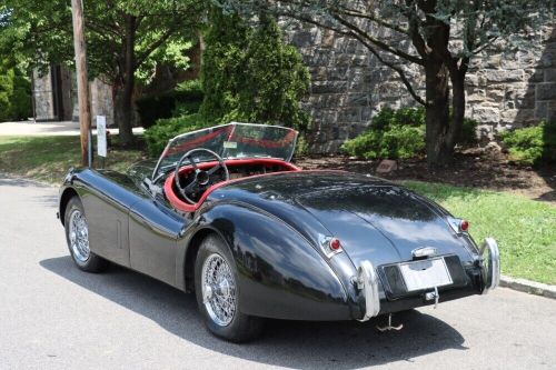 1954 jaguar xk