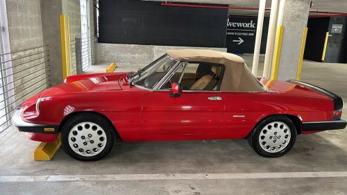 1989 alfa romeo spider