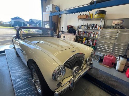 1955 austin healey bn