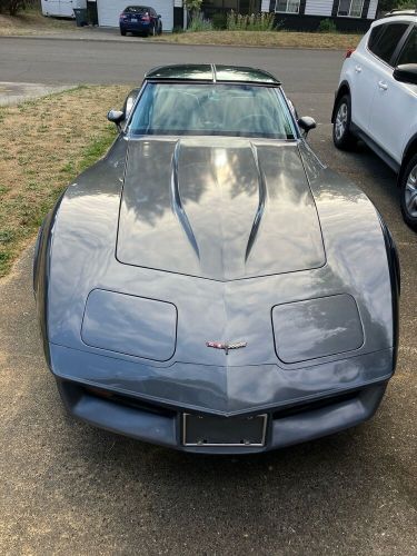 1981 chevrolet corvette