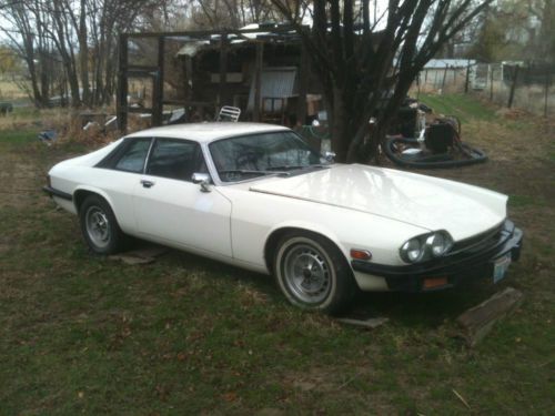 1977 jaguar xjs v12 in great shape