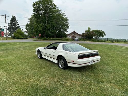 1985 pontiac trans am