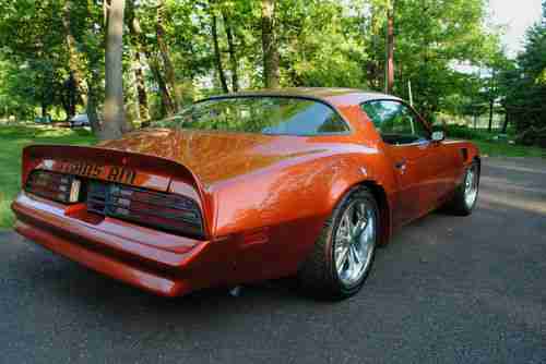 Sell used 78 Firebird Trans Am,LS1,1977 style,Custom,EFI,Bandit,Pro ...