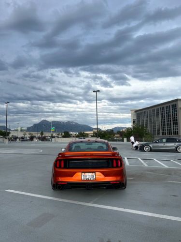 2015 ford mustang saleen