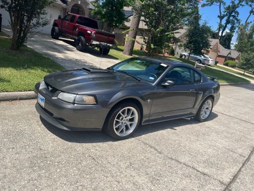 2003 ford mustang mach 1