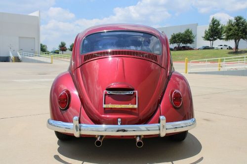 1966 volkswagen beetle - classic sunroof