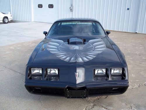 1979 pontiac firebird trans am coupe 2-door 6.6l