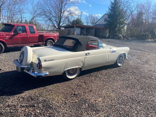 1956 ford thunderbird