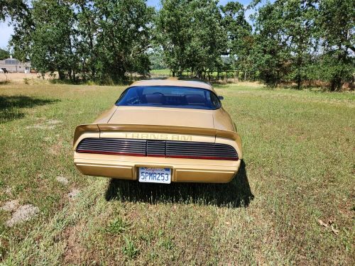 1979 pontiac trans am